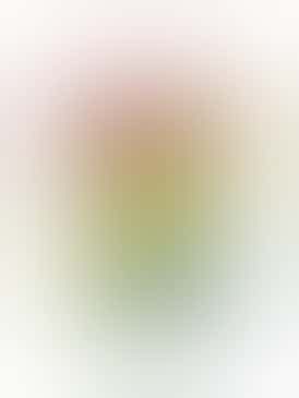 100mg Assorted Gummies | Coastal Remedies