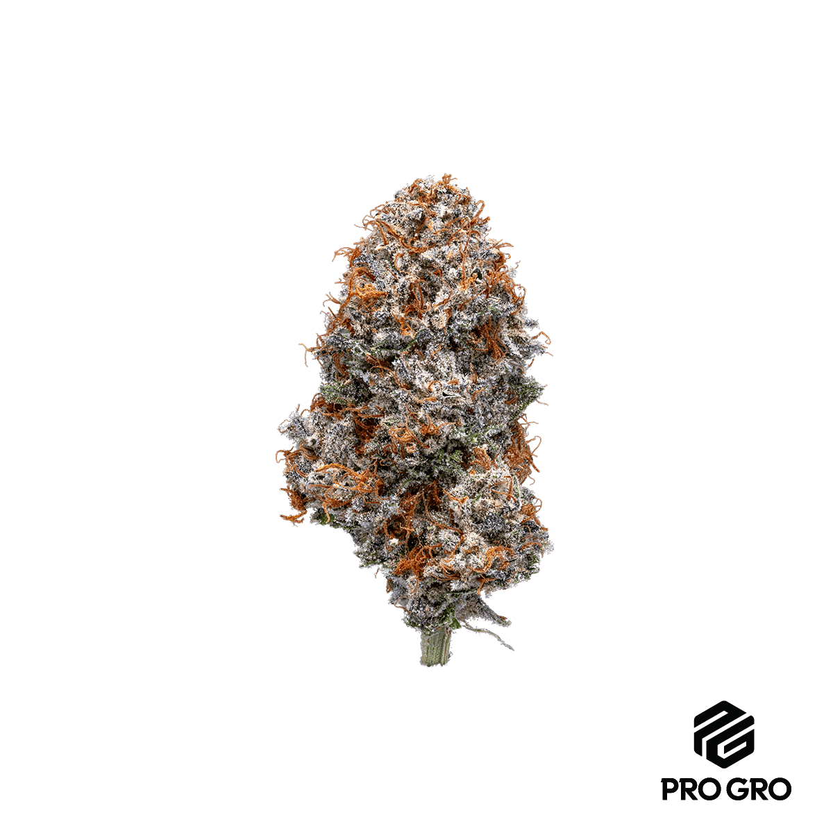 Cherry Kush Mints Pro Gro