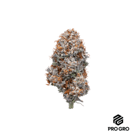 Cherry Kush Mints
