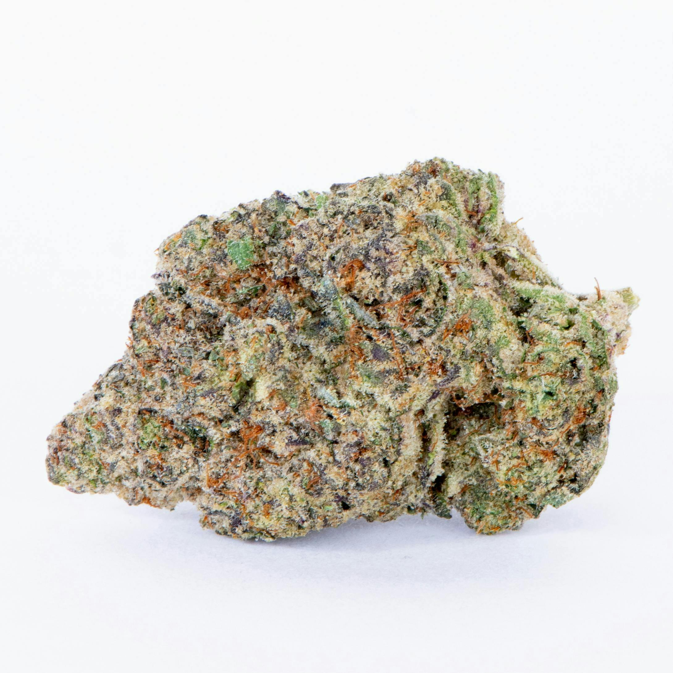Grandiflora Guava | 3.5g Indoor