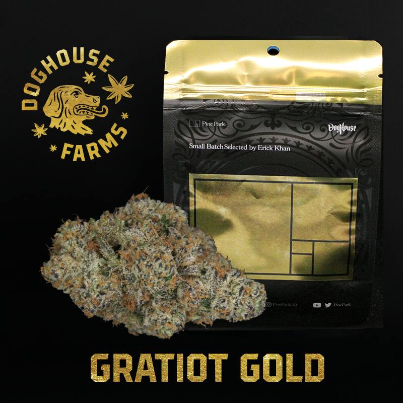 Gratiot Gold by Pine Park - 3.5g Mylar Bag - Sativa by DogHouse Farms