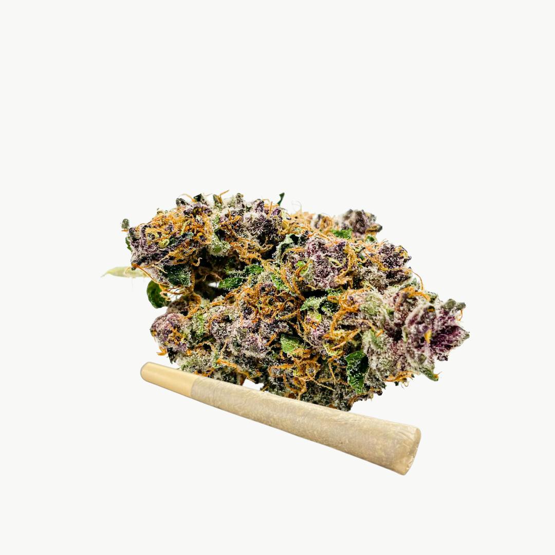 Purple Marmalade 1g Preroll BeWell Organic Medicine