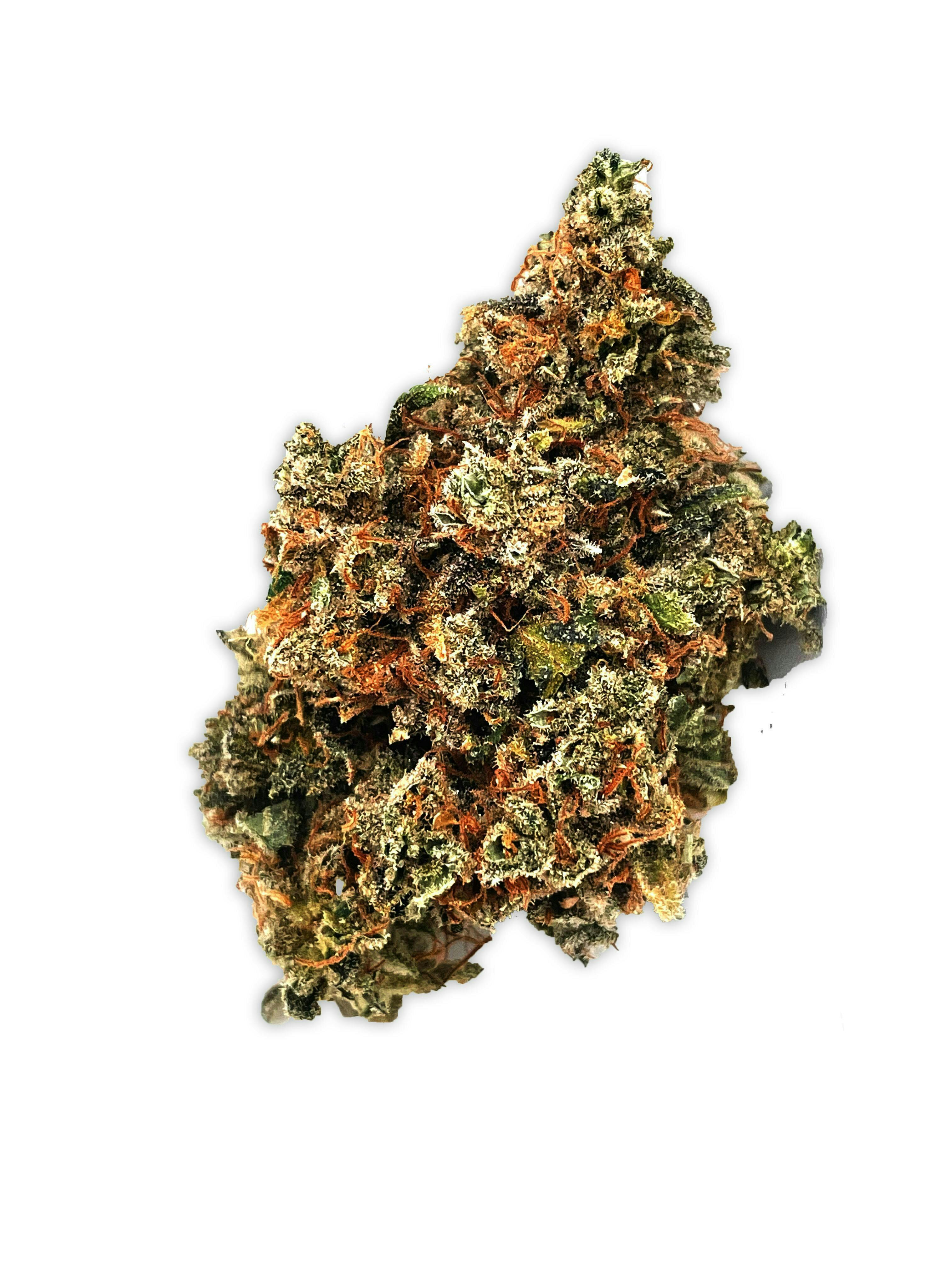 Flower - 747 80/20 Sativa Dominant - Zero Gravity Cannabis
