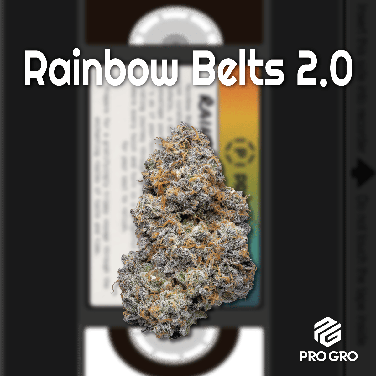 Rainbow Belts 2.0 | Big Buds by Pro Gro