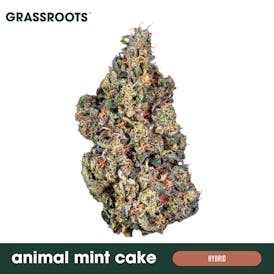 Animal Mint Cake - Flower