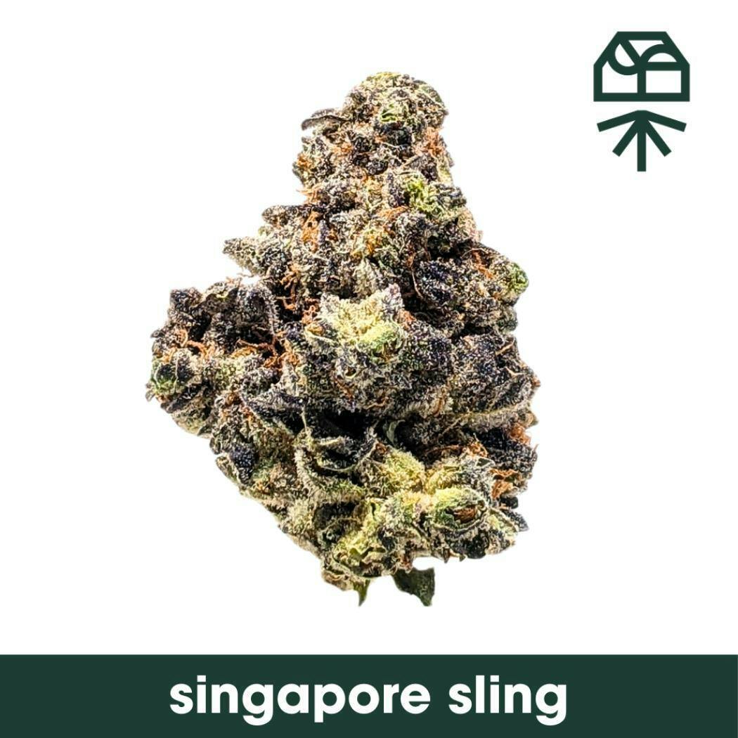 Singapore Sling Whole Flower by Grassroots