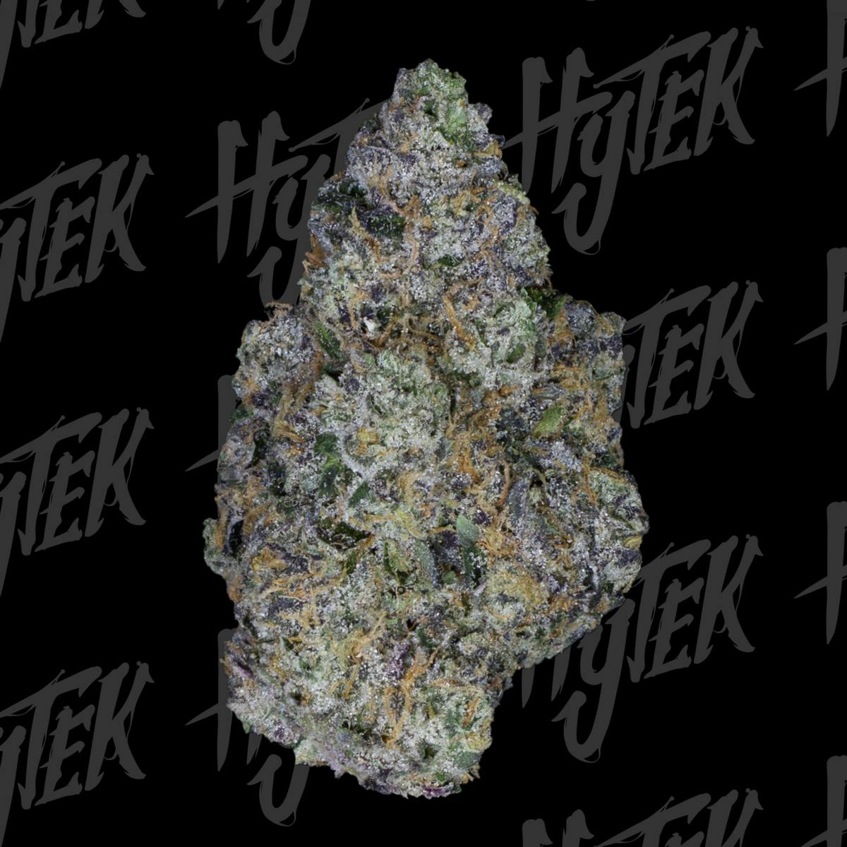 HYTEK | SHERB BANGER | BULK DELI FLOWER by Hytek