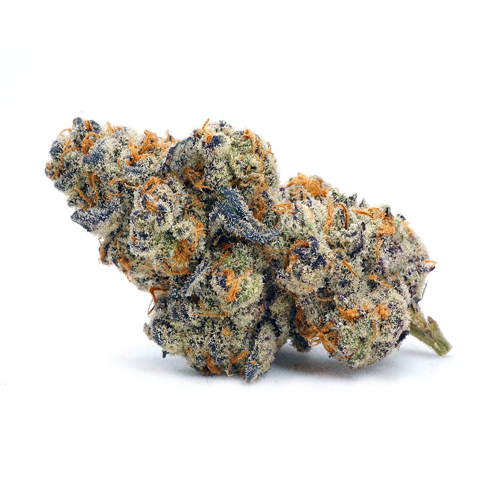 Glitter Bomb Small Buds Indoor 14g High Tide Organics