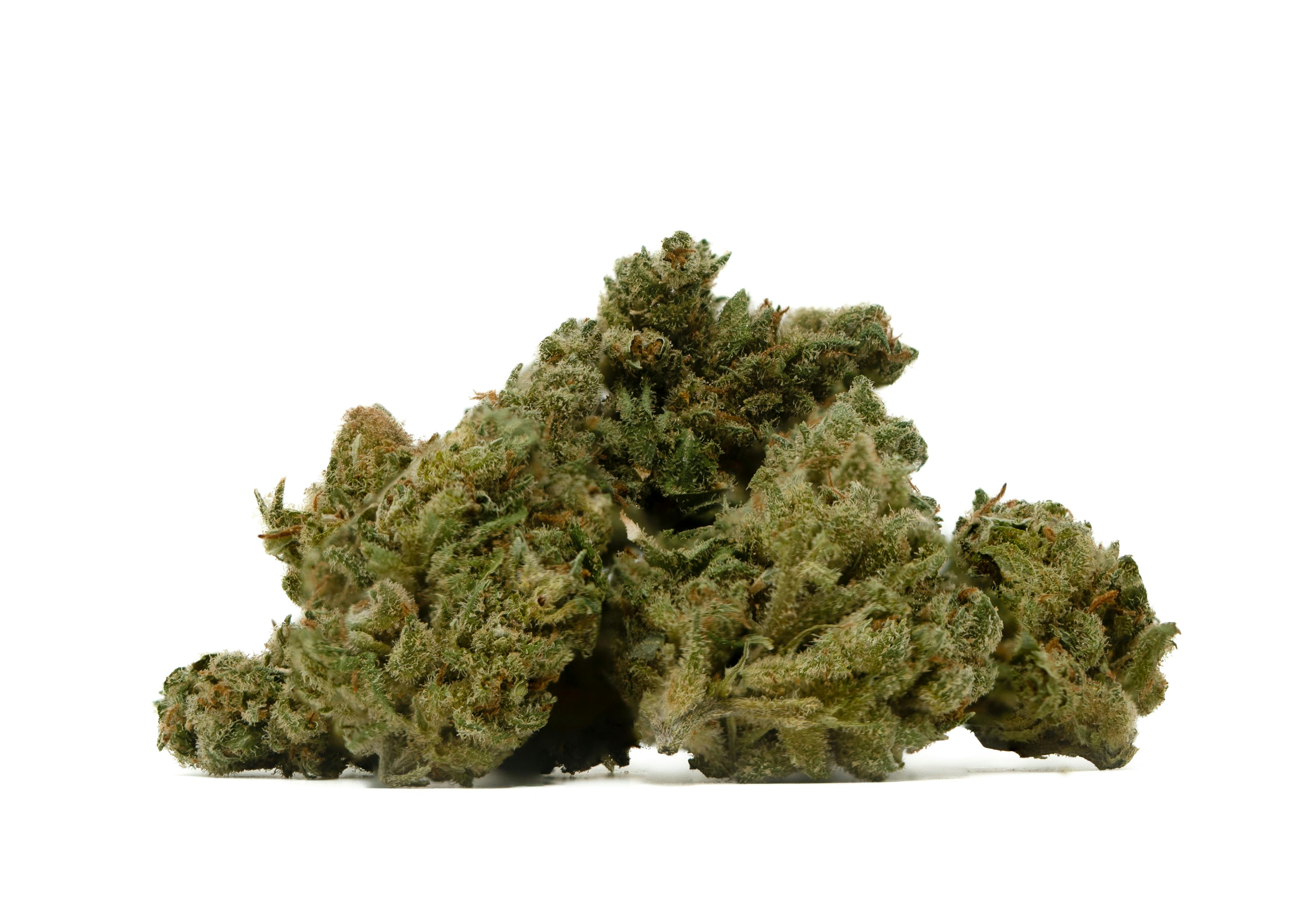 Jack Herer 1oz - Strains