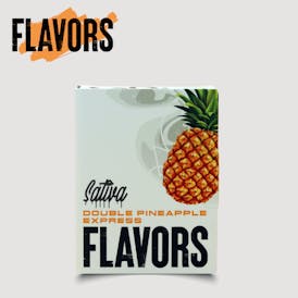 Flavors - Double Pineapple Express - Cartridge 1g