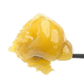 Grape Biscotti Live Resin Badder