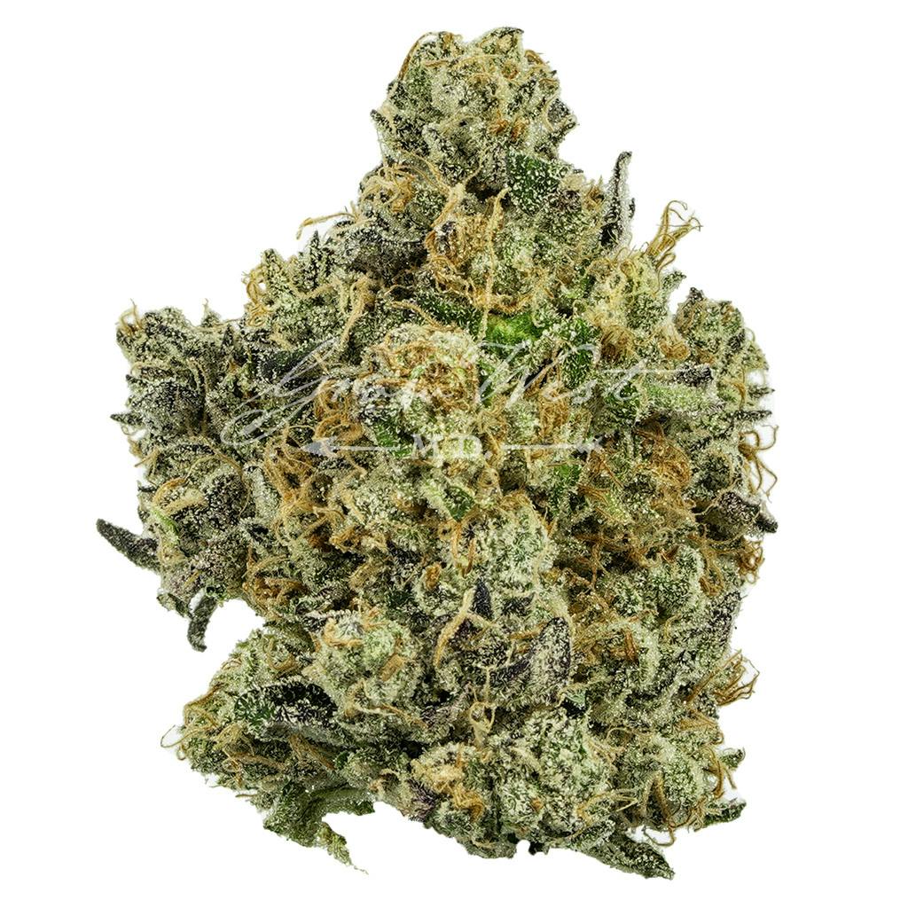 Electric Berry Bliss | Gold | Trimmed Flower at KOAN Cannabis