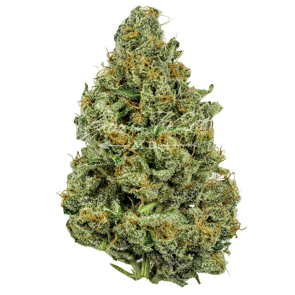 Gandhari Kush | Gold | Trimmed Flower by Grow West Cannabis Company