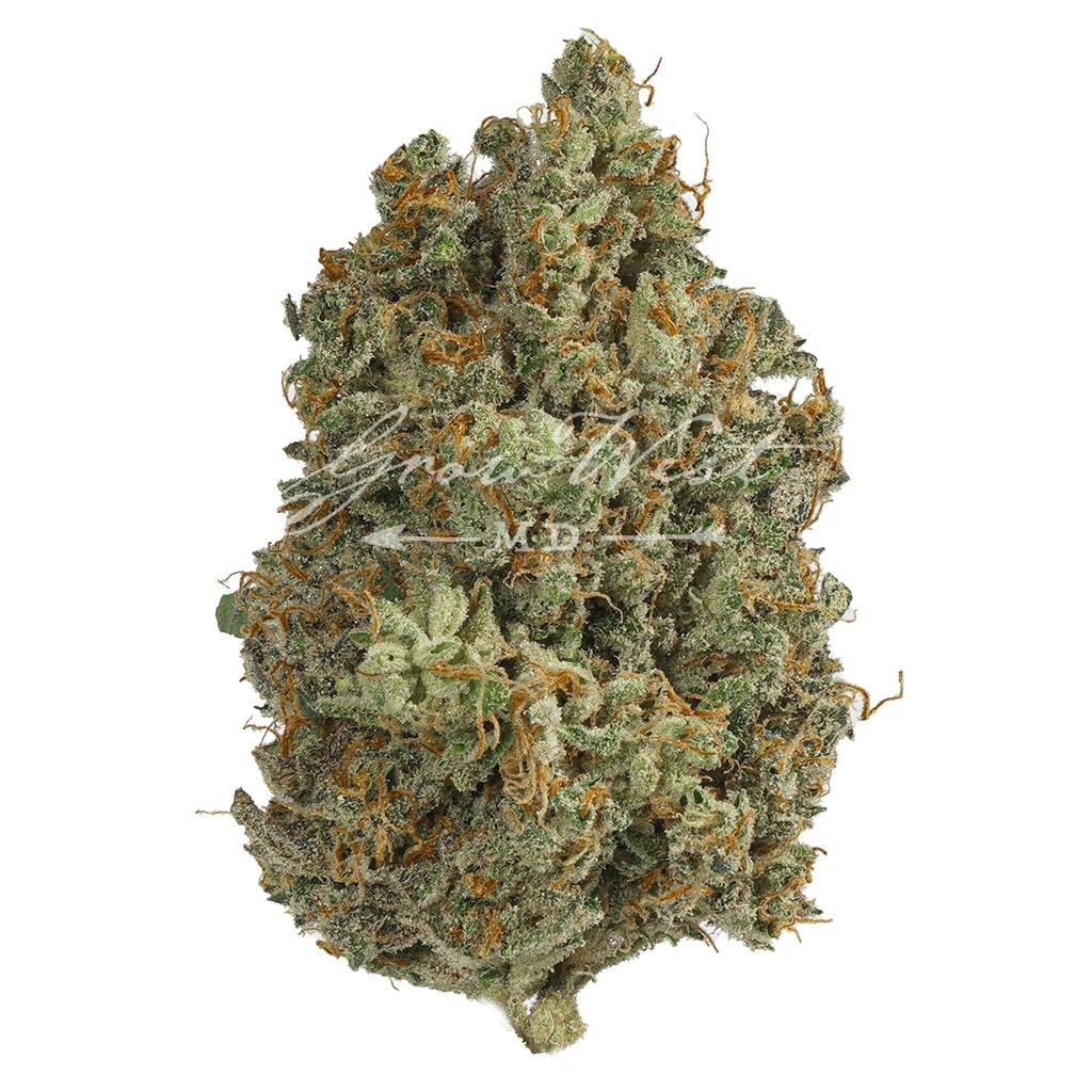 MK Ultra Black Ops | Gold | Trimmed Flower at KOAN Cannabis