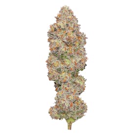 Glitter Bomb Deli Flower