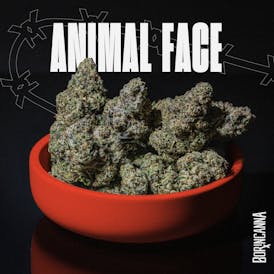 Animal Face