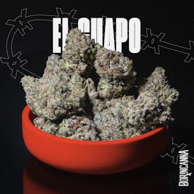 El Guapo