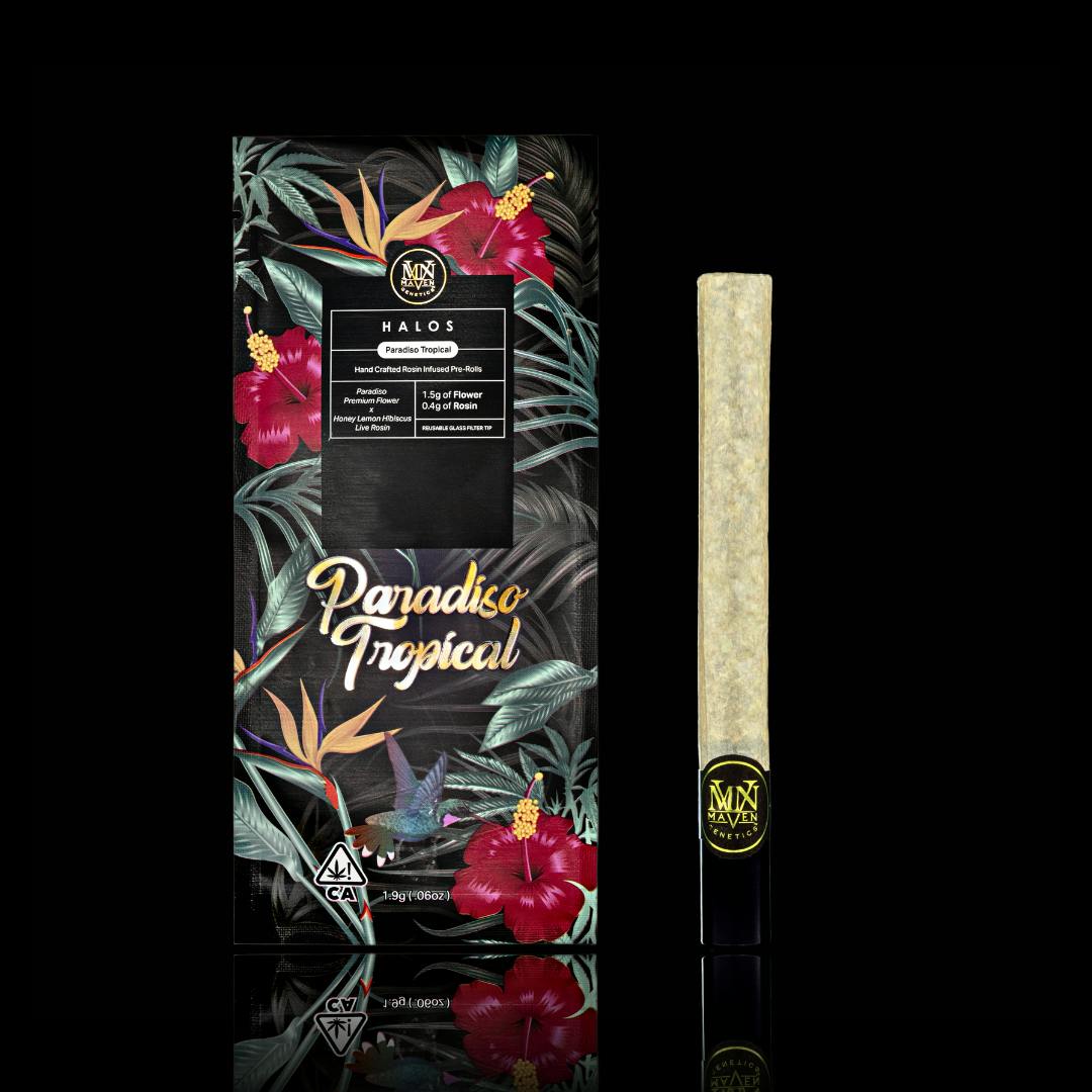 Maven Genetics — Paradiso Tropical - Maven Halos
