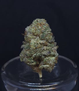 Grease Monkey 1g Flower
