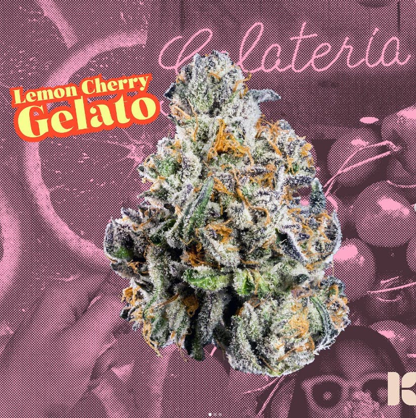 KUTZ | Lemon Cherry Gelato