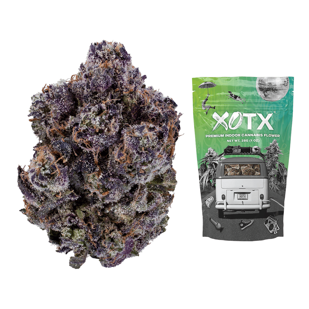 XOTX — Lemon G