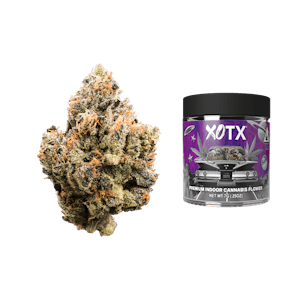 XOTX - XOTX - Flower - Bubble Gum Runtz - 7G
