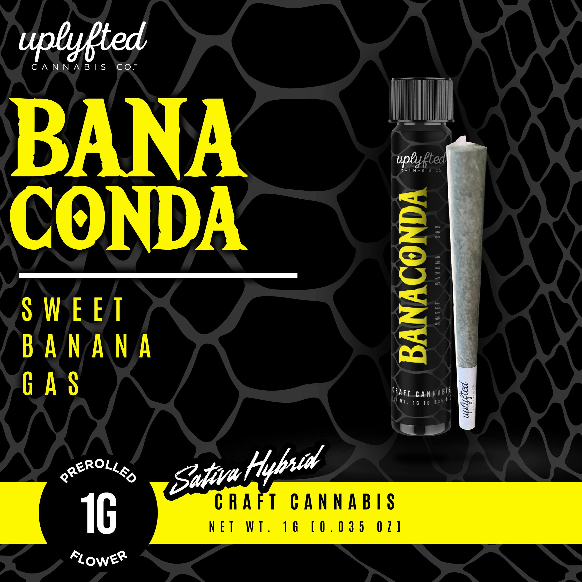 Banaconda | Joint | 1g by Uplyfted Cannabis Co