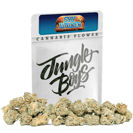 Jungle Boys | Skywalker OG - 10g Smalls