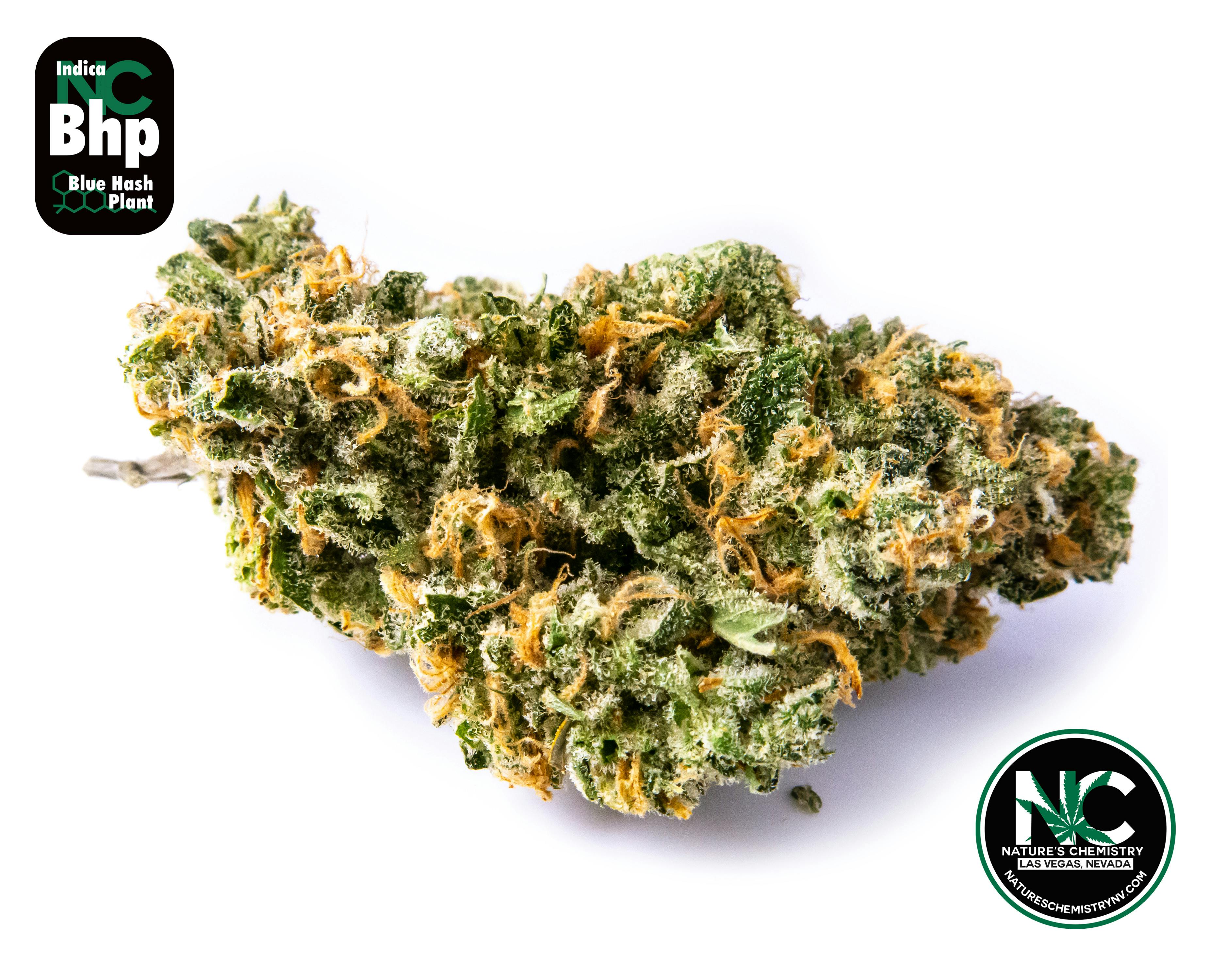 Blue Hash Plant - Nature's Chemistry