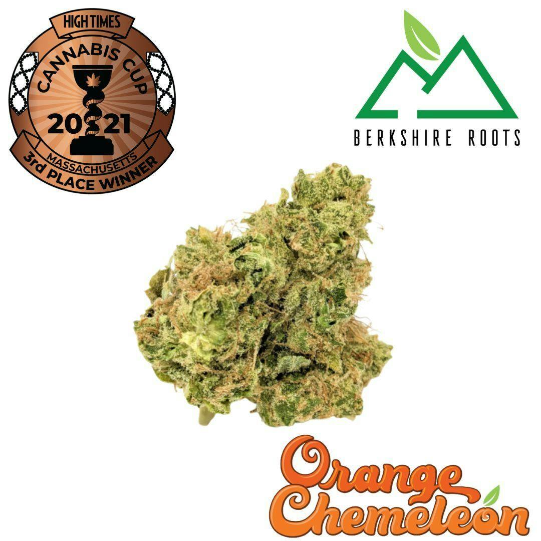 Orange Chemeleon | 3.5g