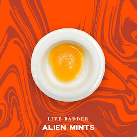 Vivid - Alien Mints Live Badder - Indica Hybrid
