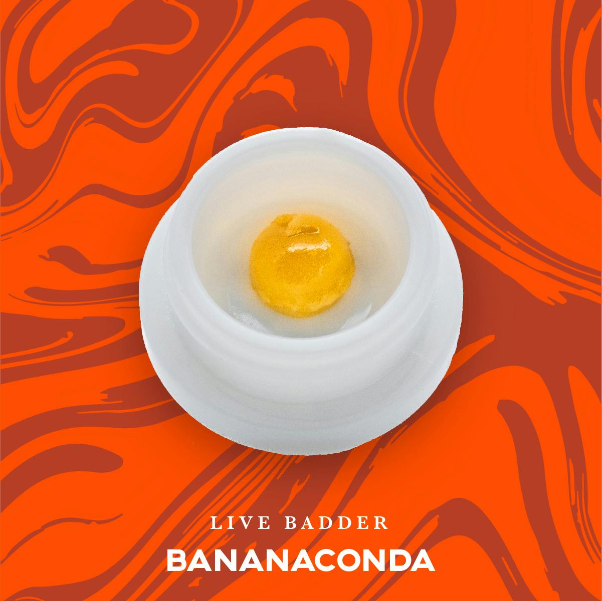 Vivid - Bananaconda Live Badder - Hybrid