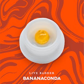 Vivid - Bananaconda Live Badder - Hybrid
