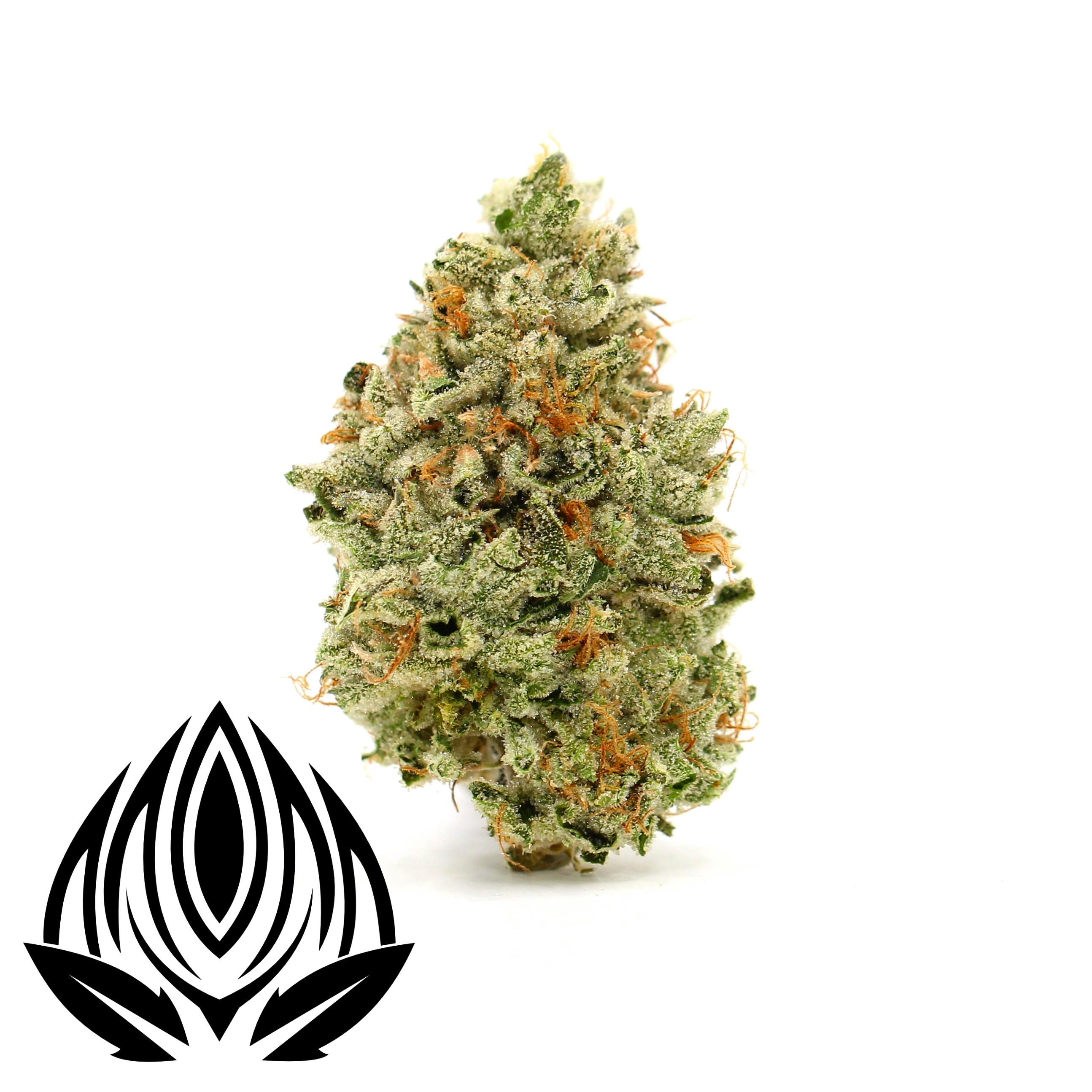 Peak Maine Cannabis Pie Dough Peak Maine Weedmaps