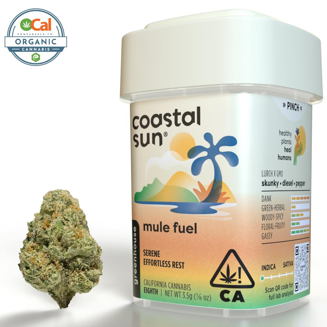 Coastal Sun — Mule Fuel