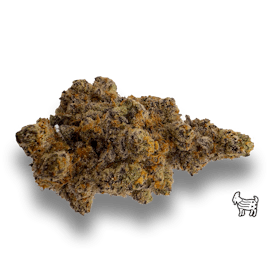 COOKIE WRECK