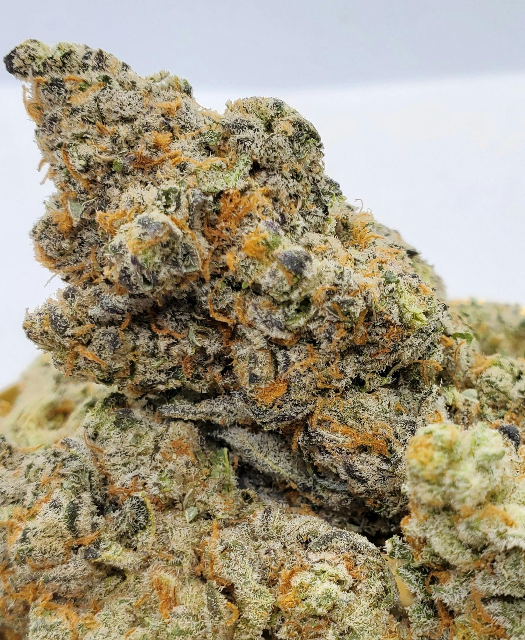 Sweet Diesel - World Class Cannabis