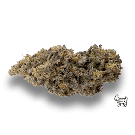 KUSH MINTS