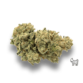 GG4 / ORIGINAL GLUE / GORILLA GLUE