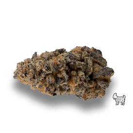 PURPLE PUNCH