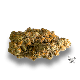 SUNDAE DRIVER