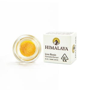 HIMALAYA - HIMALAYA | PAVE LIVE RESIN | EXTRACT | 1G