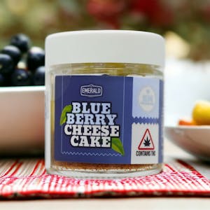 Emerald Elevation Cannabis Co - RSO Mini Blueberry Cheesecake | 25mg | Emerald Elevations