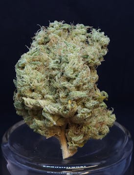 Phat N' Nasty 1g Pre-Roll
