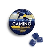 Camino | 'Team Spirit' Michigan Blue Raz | THC Gummies | 200mg