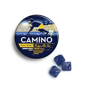 Kiva Confections - Camino - Michigan Blue Raz - 200mg