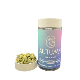 Purple Push Pop Premium 14g Smalls