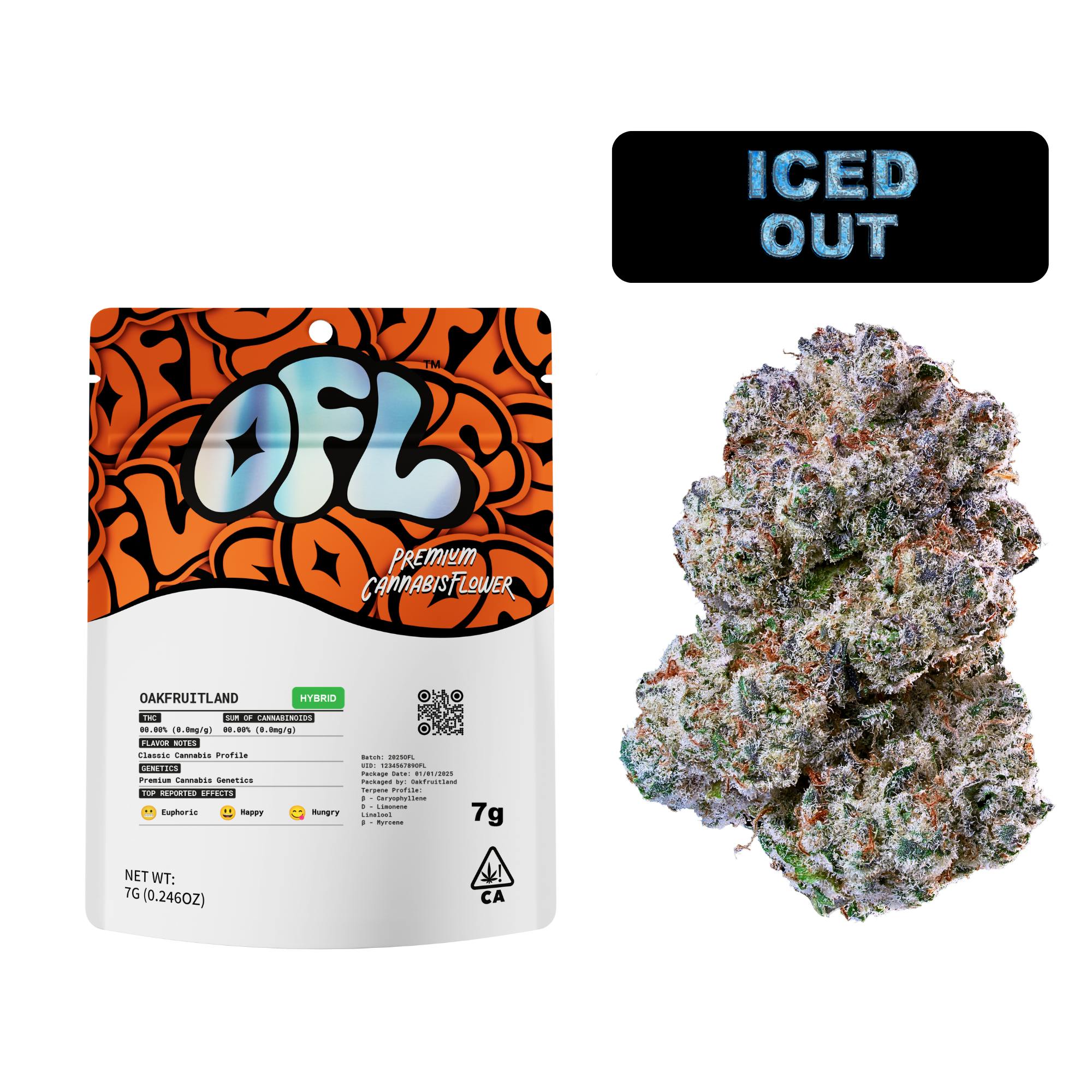 FRUITY OPERATION IVY ハイスタ SCAFULL KING FRUITY OPERATION IVY ハイスタ SCAFULL KING 【Official Music Video