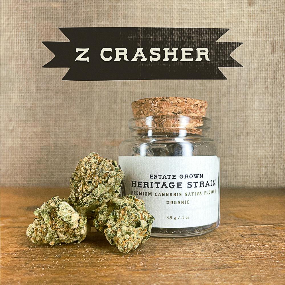 Z Crasher Hybrid - Heritage Flower