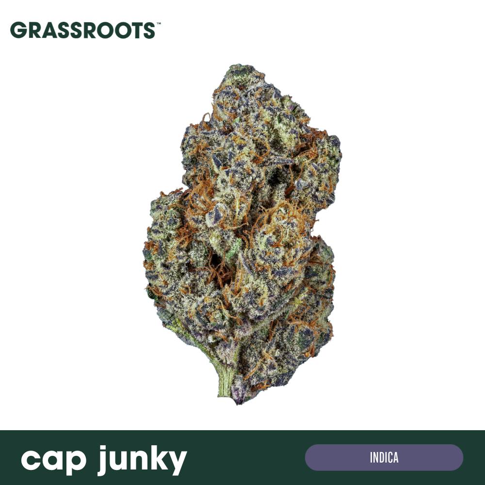 Cap Junky Flower at Curaleaf Dispensary State College